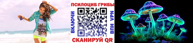 Псилоцибиновые грибы мицелий  купить наркотик  блэк спрут   Перевоз 